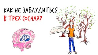 Как Не Заблудиться В Трех Соснах? — Научпок