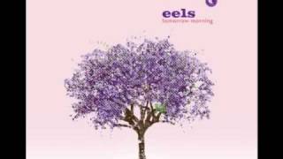 Watch Eels Oh So Lovely video