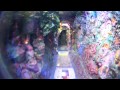 Видео Психоделический подъезд-сказка на Троещине, Киев