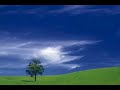 بنات عربيات