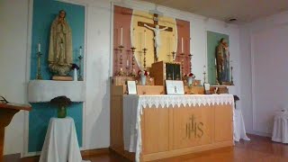 20th Sunday aft. Pent; World Mission Sun.; St. Luke