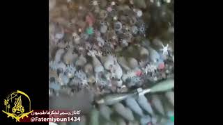 İşi̇d-In Qalıqları - Onların Böyük Silah Anbarınını Fatimiyyun Briqadası Tapdı