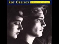 Roy Orbison - I drove all night