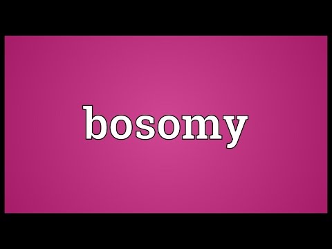 Header of bosomy