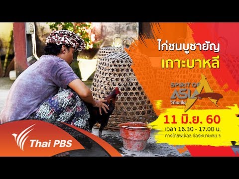 Spirit of Asia : ไก่ชนบูชายัญเกาะบาหลี