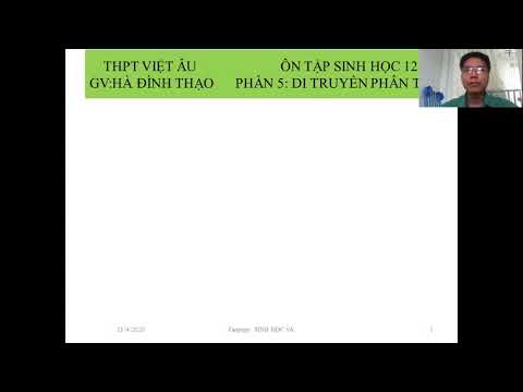 Ôn tập: Cơ chế di truyền biến dị cấp độ phân tử