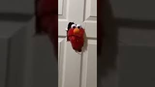 Elmo Screaming And Crashes Into A Door