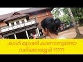 വരിക്കാശ്ശേരി - കാശ് മുടക്കി കാണാനുണ്ടോ | Varikkassery Mana