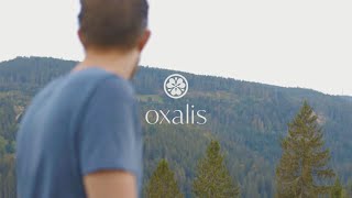 RESTAURANT OXALIS | Search of Components