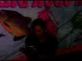 Gadis Di Rogol Di Warung images Gadis Di Rogol Di Warung