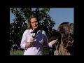 ANIMAIS ESTIMAÇÃO EXÓTICOS
