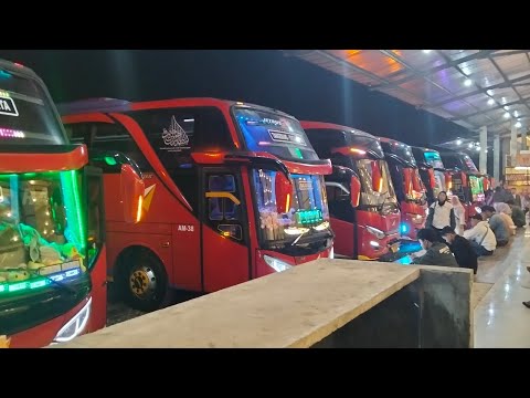 Hunting Bus Edisi Libur Maulid Nabi di Rm singgalang ‼️‼️