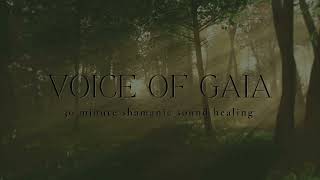 Voice Of Gaia 30 Minute Shamanic Sound Healing Earth Codes