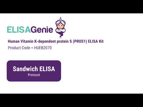 Watching video Human Vitamin K-dependent protein S (PROS1) ELISA Kit