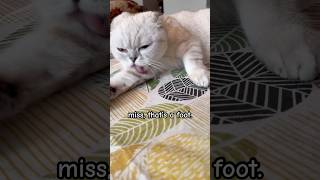 Miss, Thats A Foot