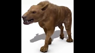 Prehistoric Ins 2010 - Hyaenodon Screen Time