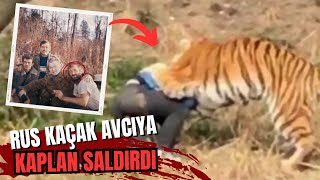 Sibirya Kaplanı Tarafından Parçalanan Vladimir Markovun Hikayesi