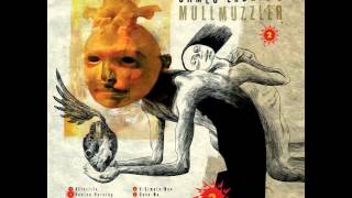 Watch Mullmuzzler A Simple Man video