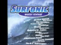 Randy Stonehill with Havalina Rail Co. - The Sun Comes Out Again - 8 - Surfonic Water Revival (1998)