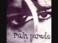 Rain Parade (w. David Roback),Live,1983,LA,The Music Machine club,Full set,9 songs,39 mins.