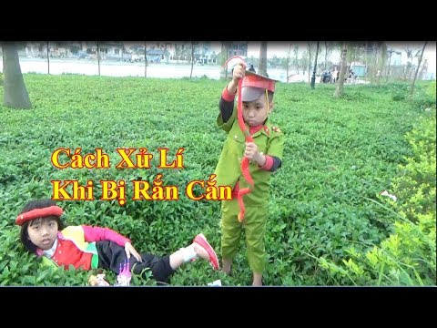 Trò Chơi Xử Lí Khi Bị Rắn Cắn ❤Rèn Kĩ Năng Sống Cho Bé❤ Baby channel