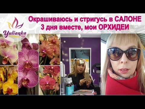 Есть ли эффект? Грибка. ру Дипломная работа: Анализ финансово-экономического