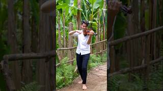 Lambada David Bay