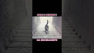 Illusioni Ottiche Più Famose Al Mondo Il Gatto Sulle Scale