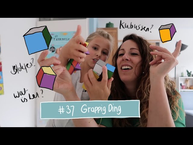 #37 Grappig ding