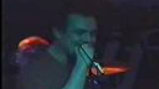 Watch Pitchshifter were Behaving Like Insects video