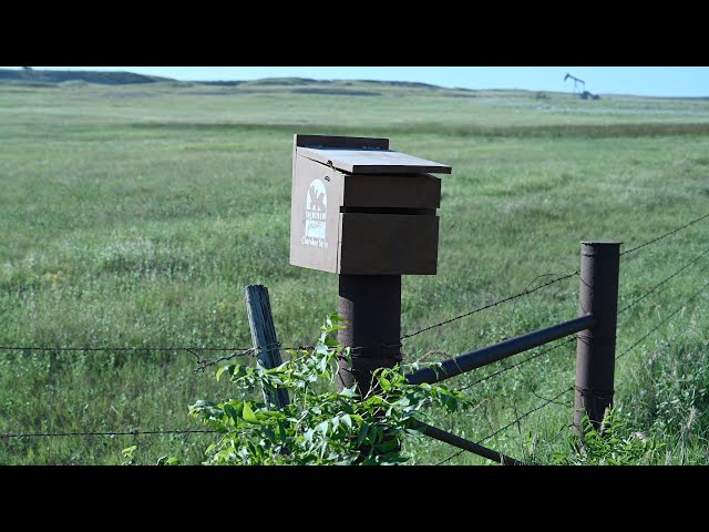 Watch Quail Wing Donation Boxes on YouTube.
