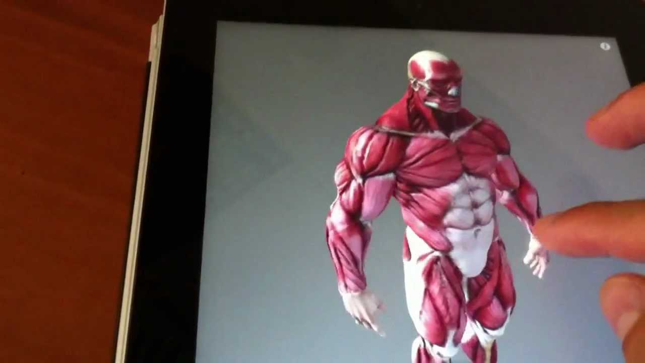 Best anatomy App for artists - YouTube