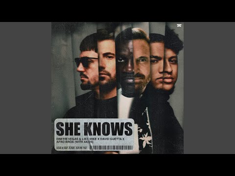 Dimitri Vegas & Like Mike - She Knows