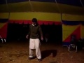 Kukkar Dance By Mansehra Hazaraywall Boy Sardar Tipu images Kukkar Dance By Mansehra Hazaraywall Boy Sardar Tipu