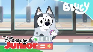 Bluey En Casa De La Abuela Disney Junior Oficial