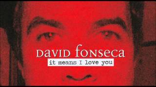 Watch David Fonseca It Means I Love You video