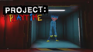 Je Suis Devenue Huggy Wuggy Sur Project Playtime