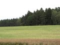 Sečení řepky III.