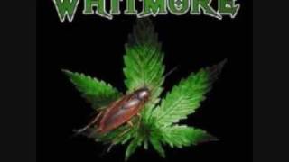 Watch Whitmore Wallace video