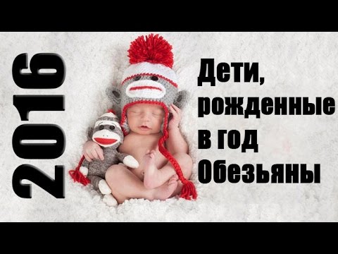 Дети, рожденные в год Обезьяны (2018 год) Дети, рожденные в год Обезьяны (2018 год)