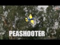 HobbyKing Product Video - P-26A Peashooter EPO 800mm (PNF)