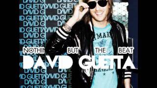 Watch David Guetta Pandemonium video