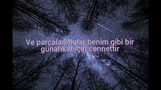 Florencethe Machine- Never Let Me Go Türkçe Çeviri