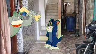Tom And Jerry Green Screen Tom And Jerry Tom Funny Cartoon Network