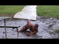 stream Hot Girl Vs Water Slide Must Hot Girl Vs Water Slide Must image
