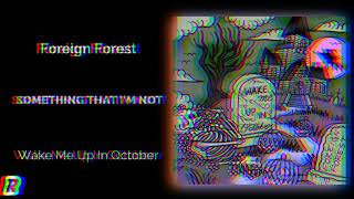 Watch Foreign Forest Something That Im Not video