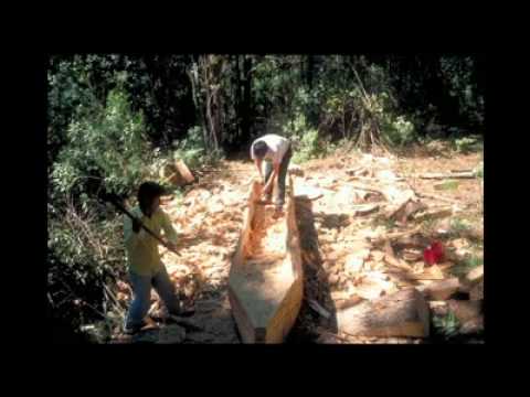 sergio borroni & lele bernasconi- usumacinta 1991 1992 Video sergio borroni & lele bernasconi- usumacinta 1991 1992 Video