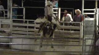 Sale Sproats Riding Rainbow Warrior, 2016 All American Rodeo, Rocker G Livestock