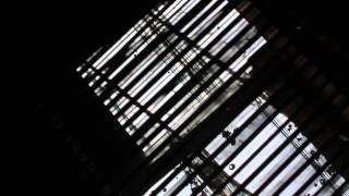 VIDEOTEXT-2 / Thibault Pétrissans / Camille Moravia