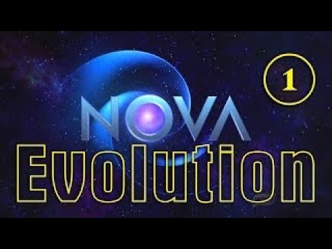 Nova: Эволюция: Великие преобразования / 1 серия Nova: Эволюция: Великие преобразования / 1 серия